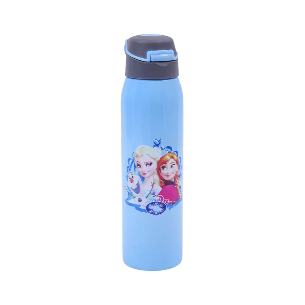 1105 SS WATER BOTTLE FROZEN 500ML