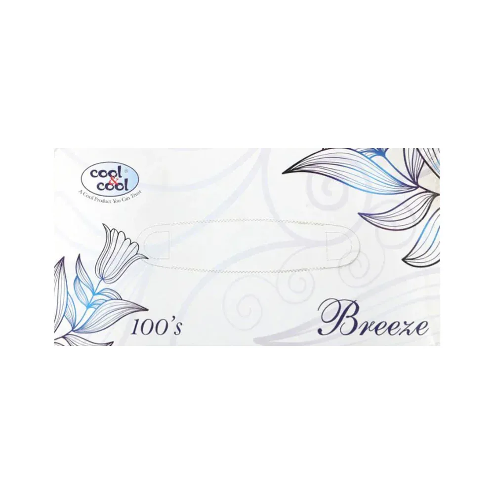 COOL & COOL TISSUE BREEZE 100X2PLY B2000