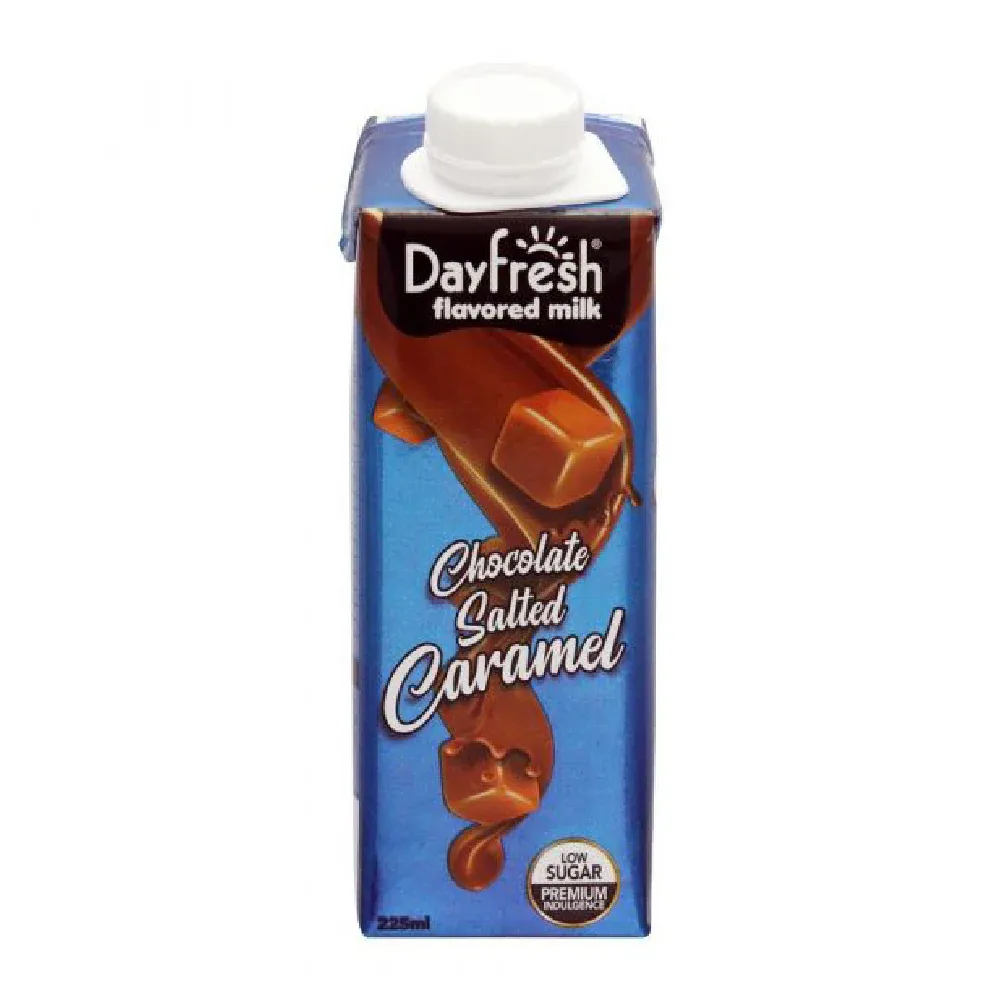 DAYFRESH FLAVOURED MILK CHOCOLATE SALTED CARAMEL 225ML