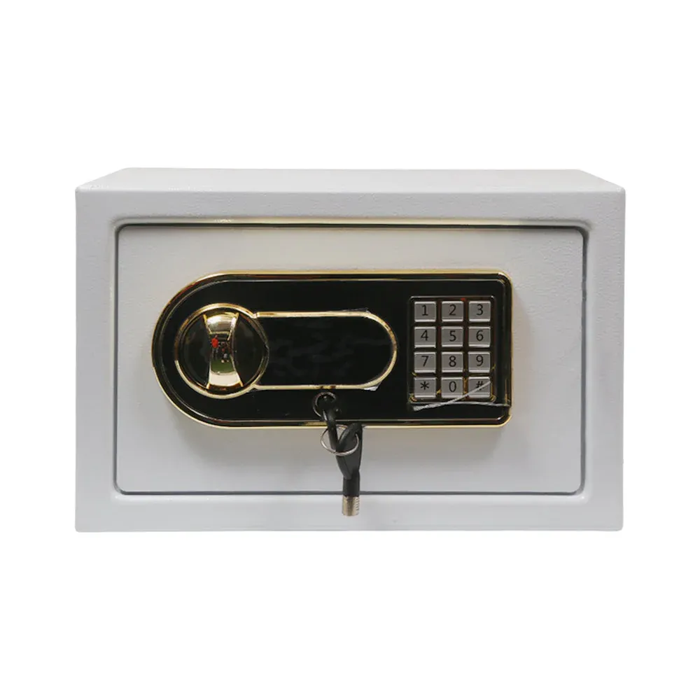 ELECTRIC SAFE IR 20