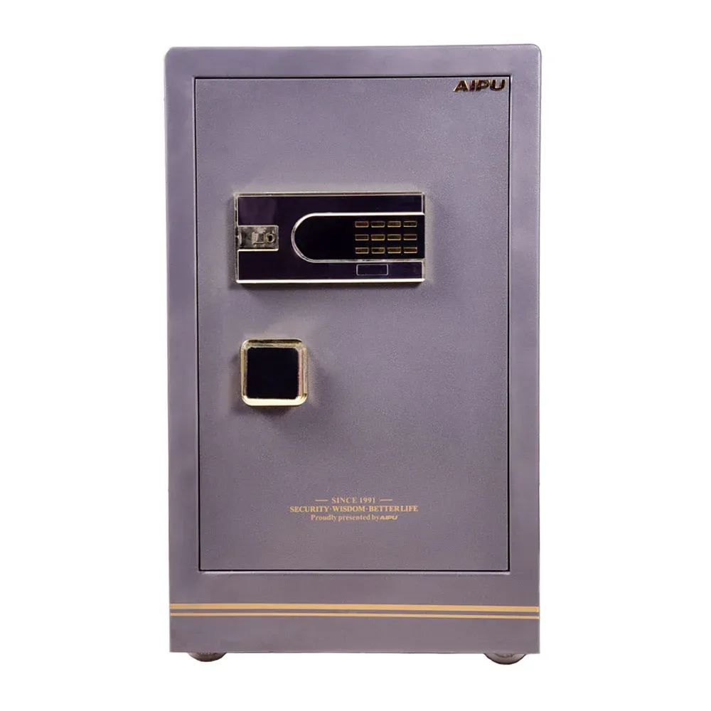 ELECTRIC SAFE IR BGX-5/D1-70SRNLL