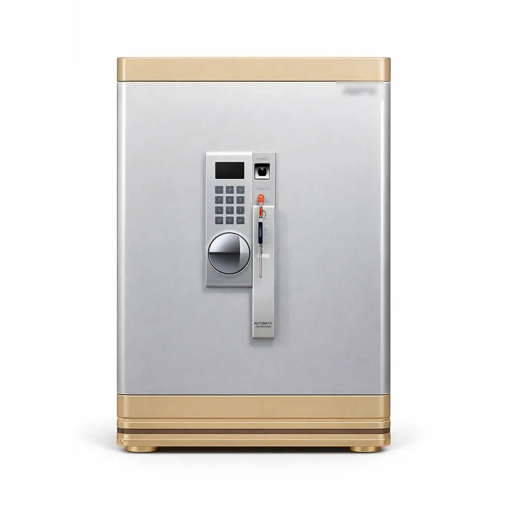 ELECTRIC SAFE IR FDG-A1/D-55BY