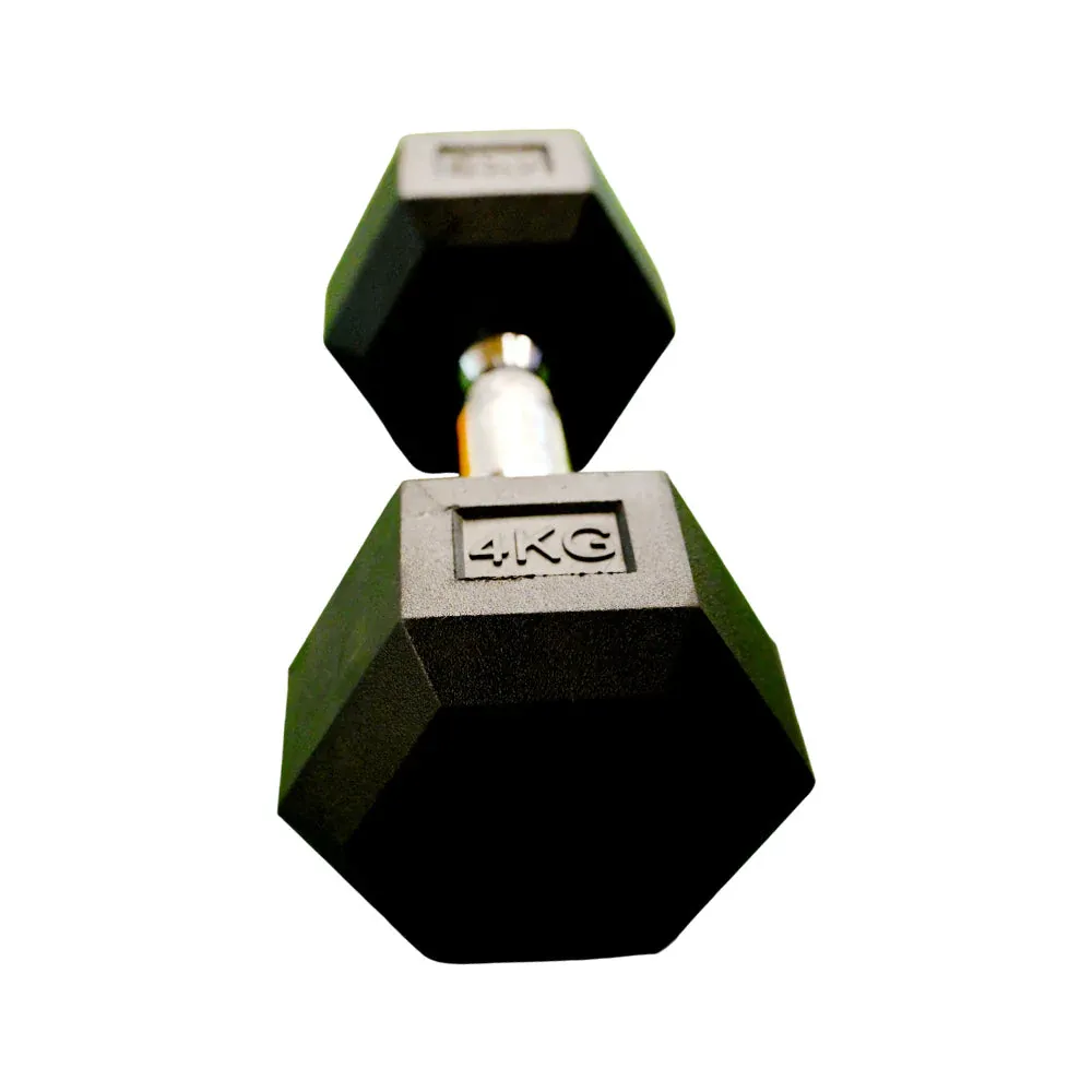 EXERCISE DUMBELL 4KG IR LM-4006