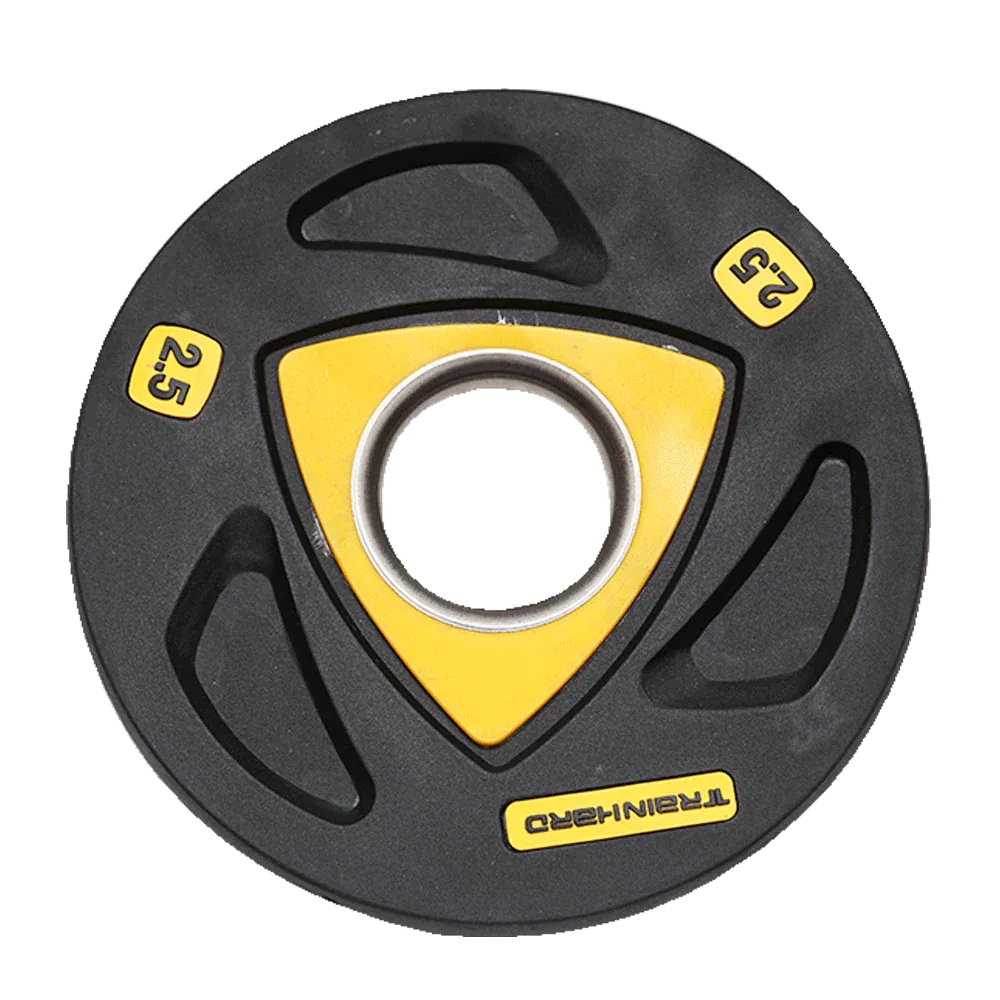 EXERCISE PLATES 2.5 KG EACH IR LM-0963