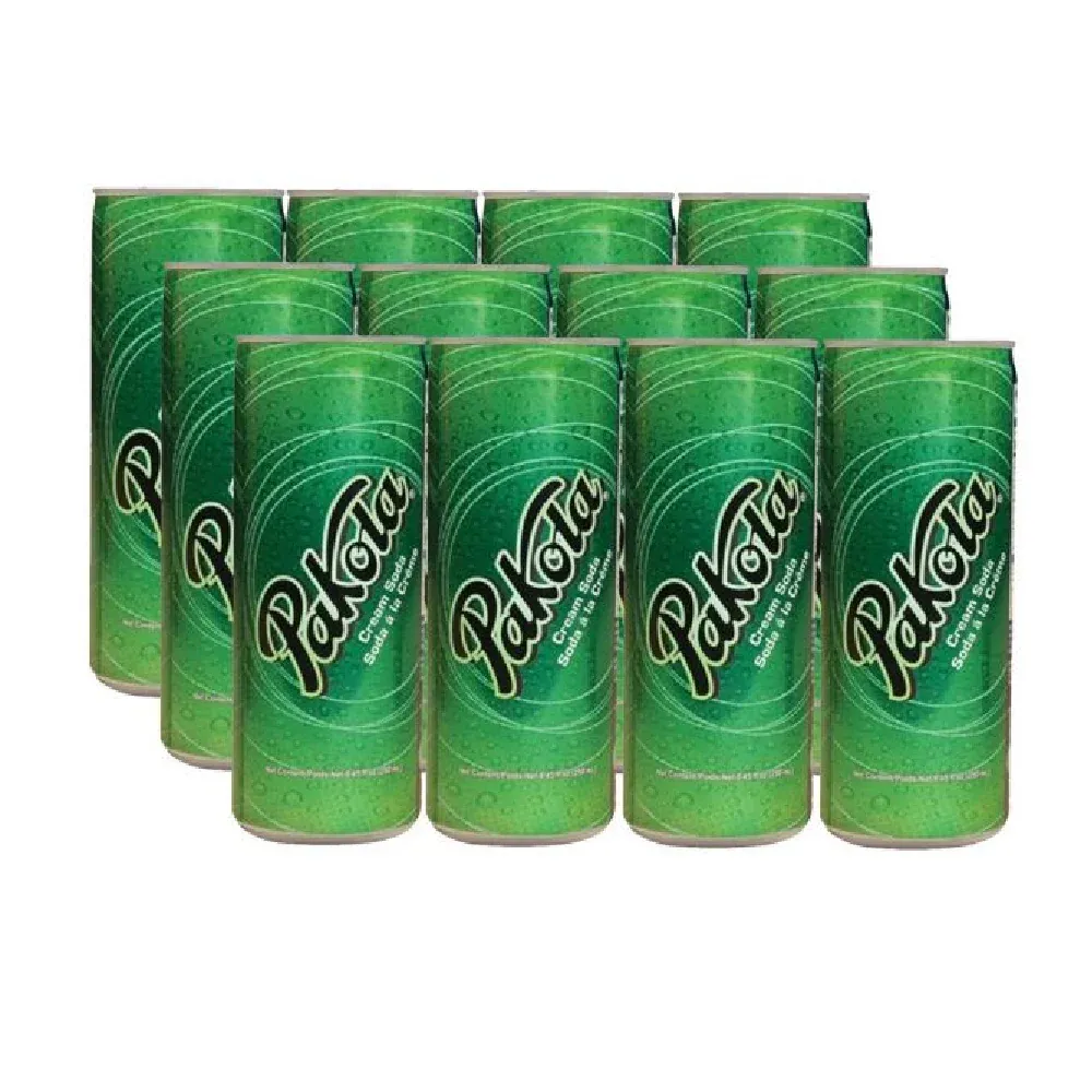 PAKOLA ICE CREAM SODA CAN 250 ML-CARTON