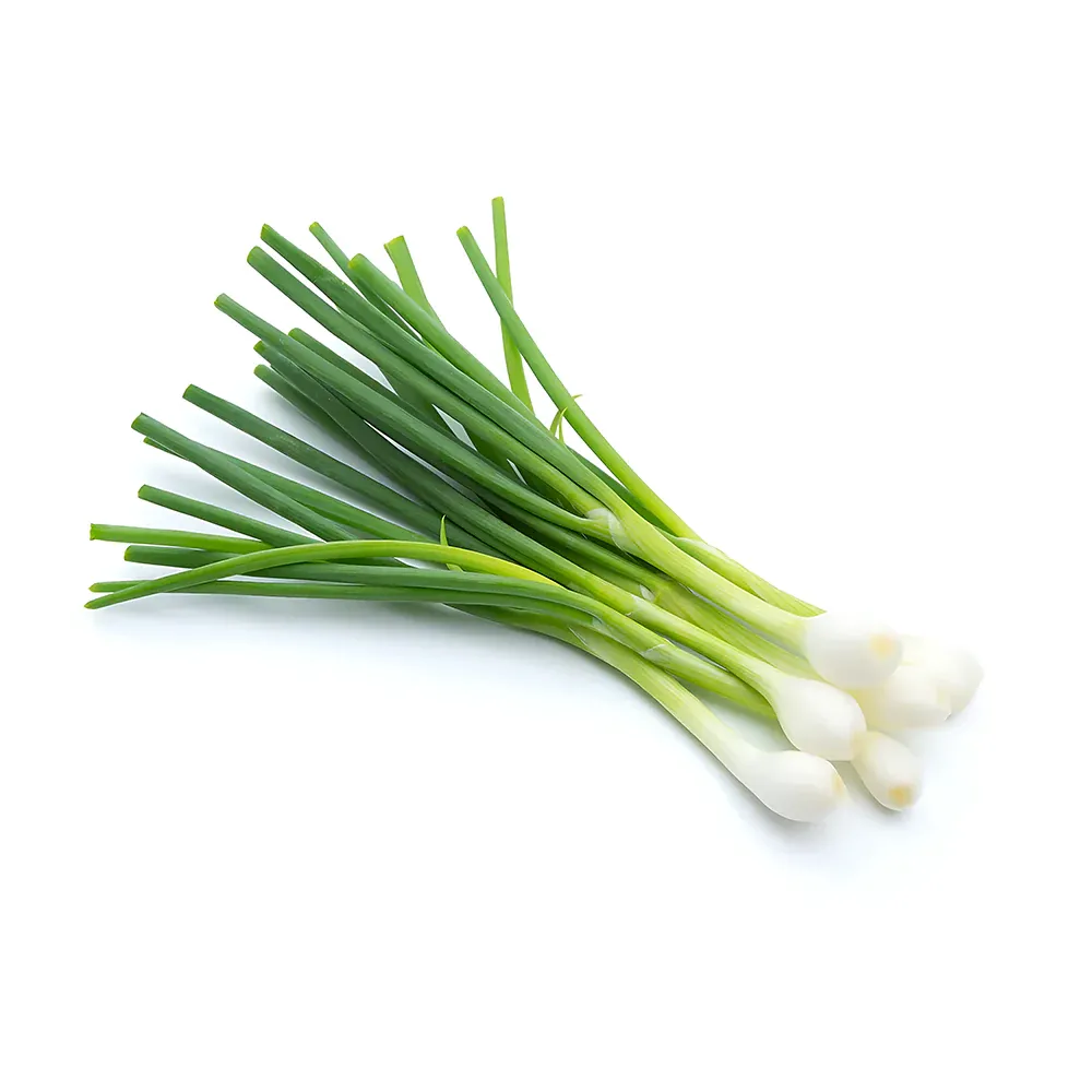 SPRING ONION (Sabz Piyaz) (1 KG TO 250 GM)