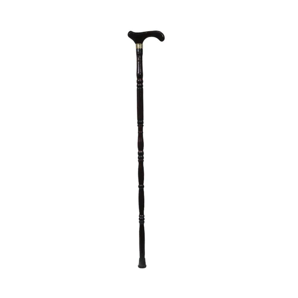 WALKING STICK IR XD10